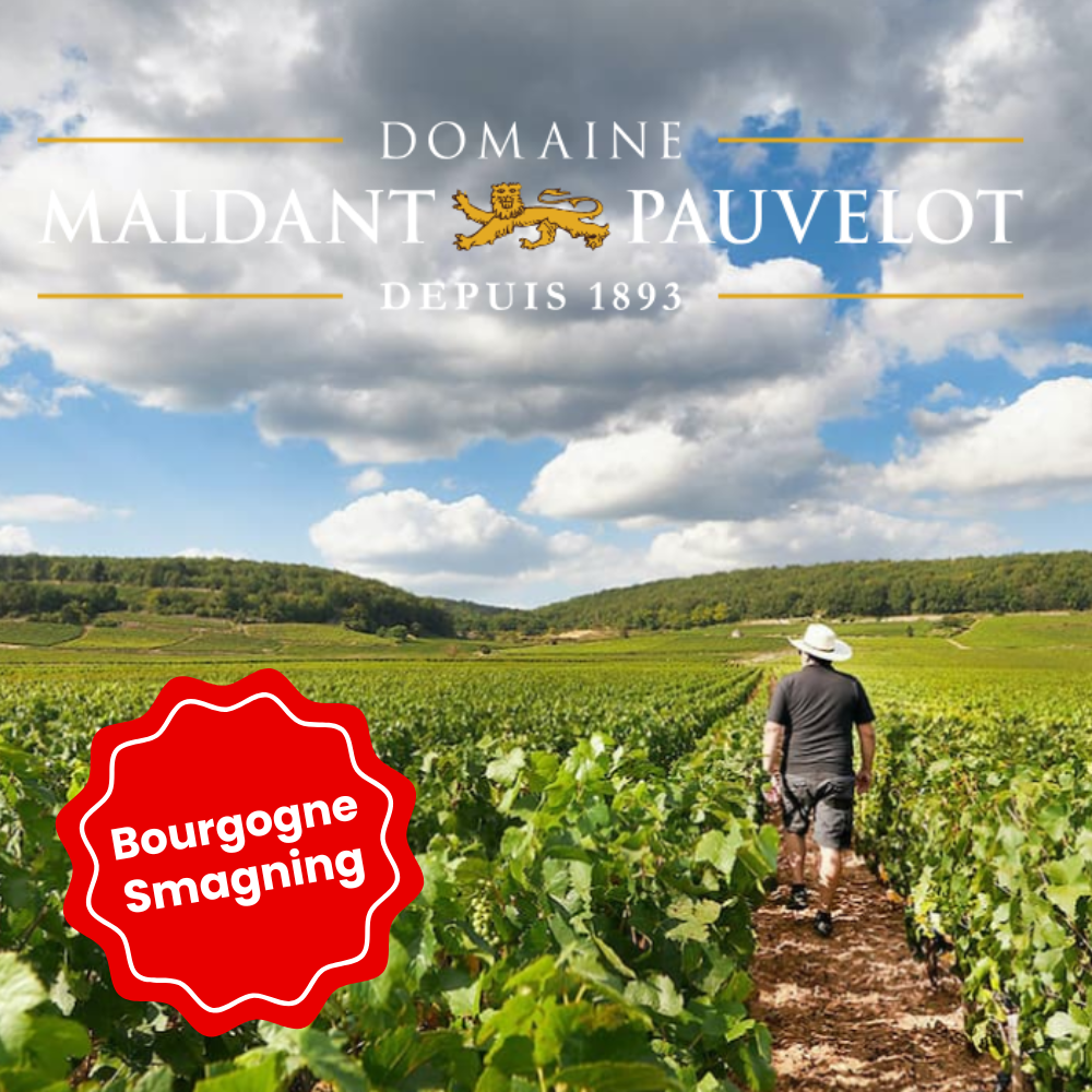 Fredag d. 6. marts kl. 18.30 - Bourgogne Smagning