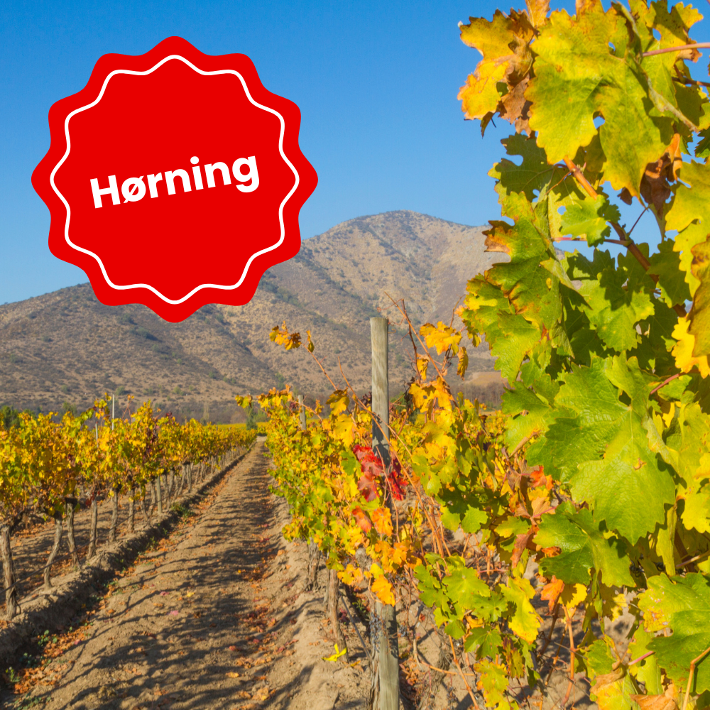 Torsdag d. 3. september kl. 18.30 - Spansk Vinsmagning