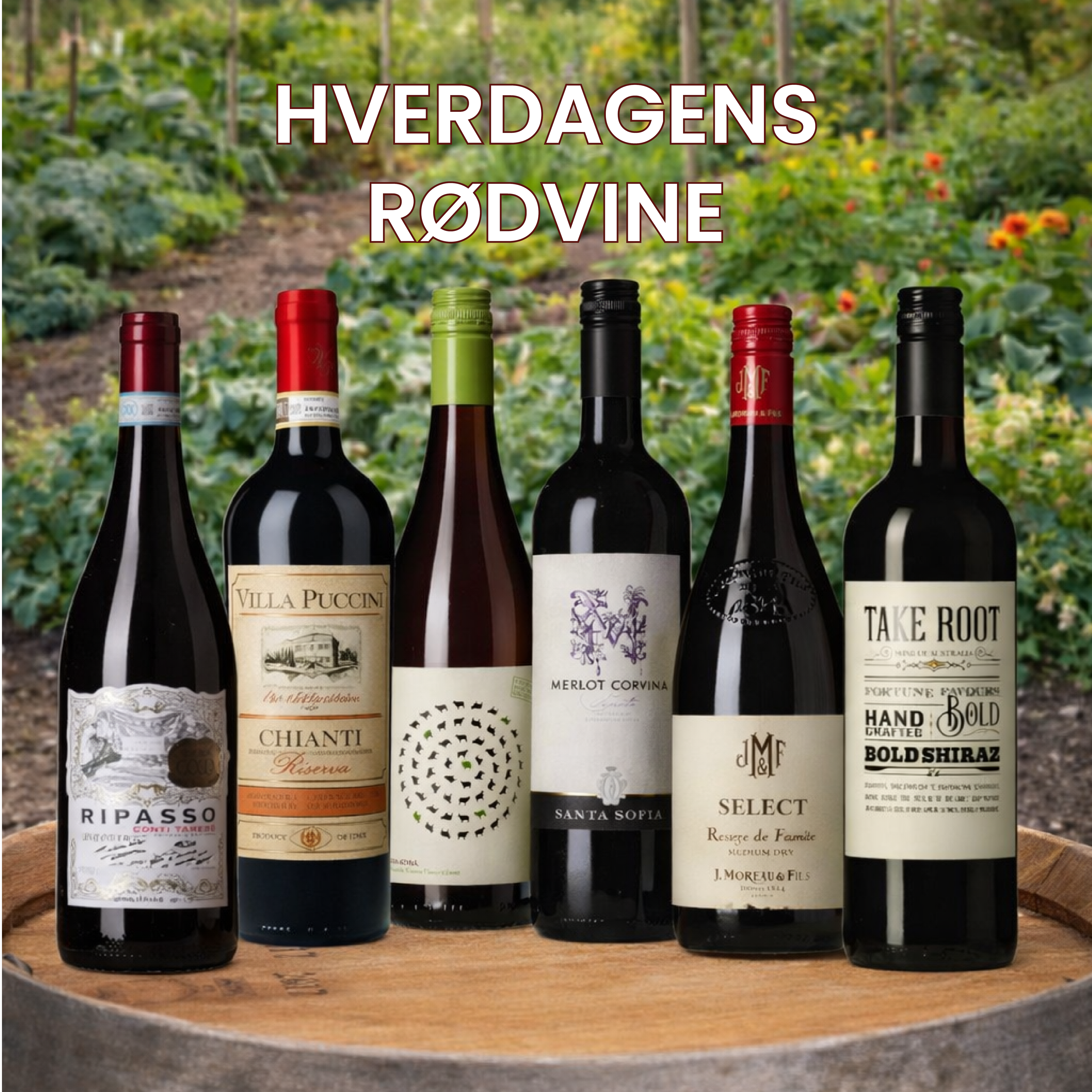 Hverdagens Rødvine