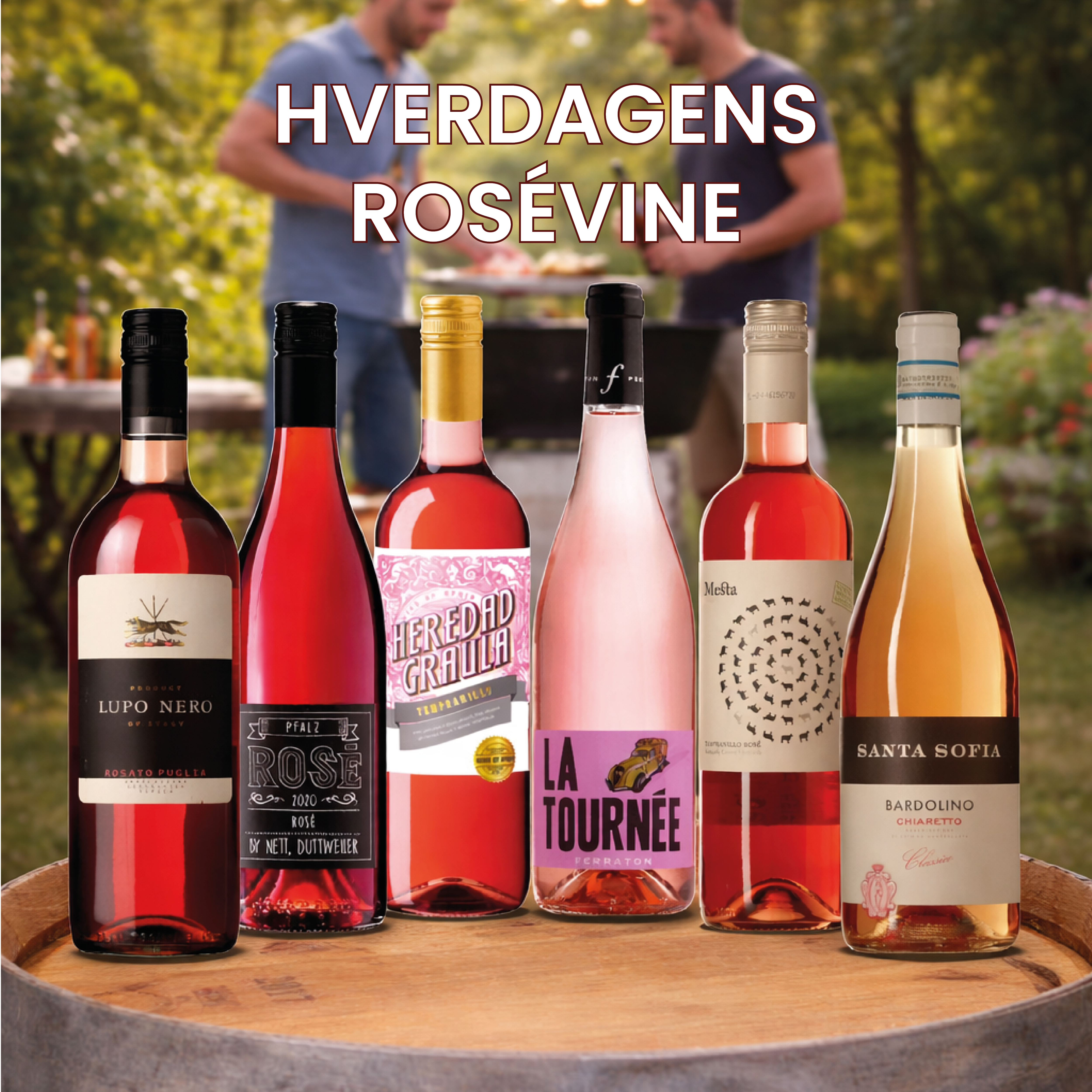Hverdagsrosé Kassen