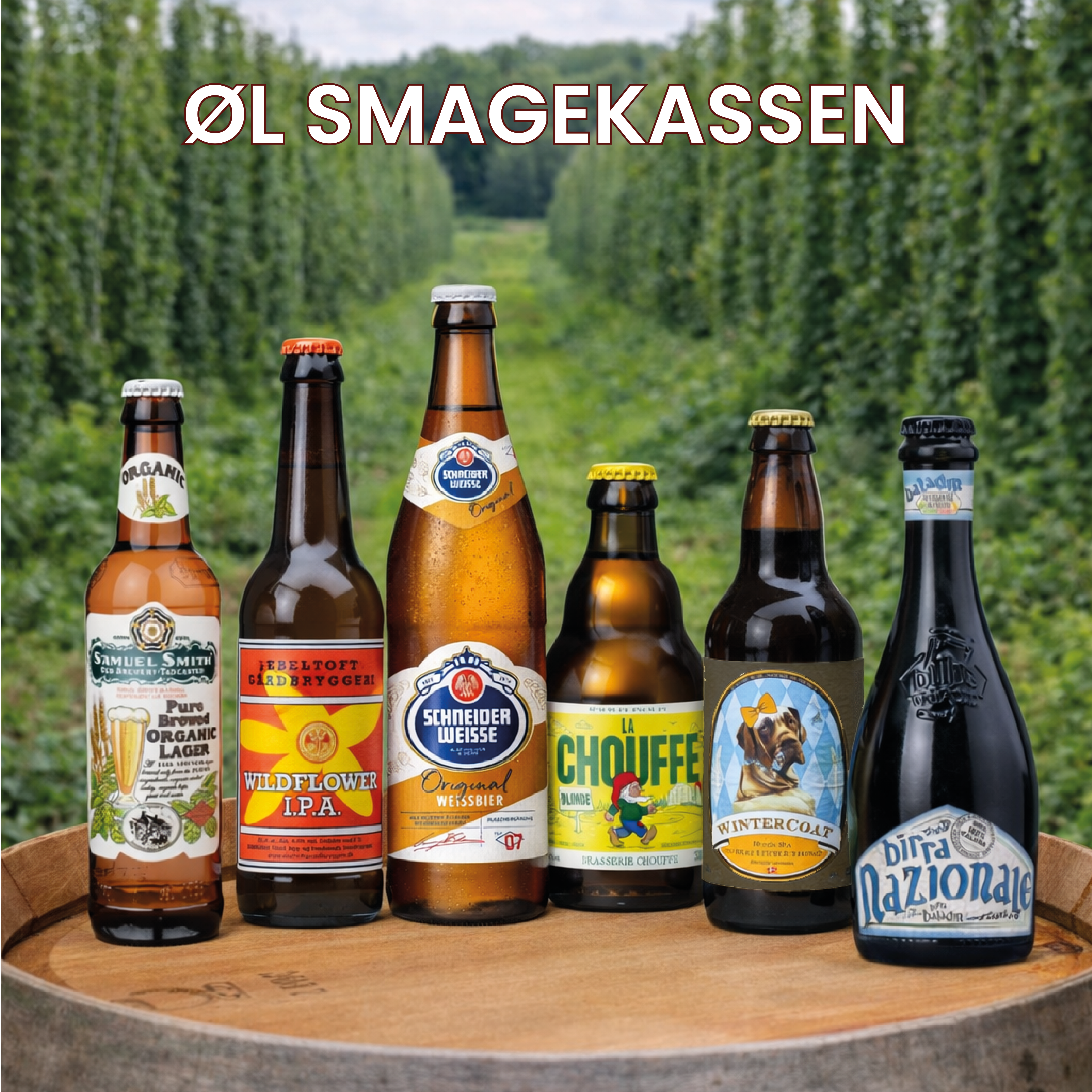 Øl Smagekassen