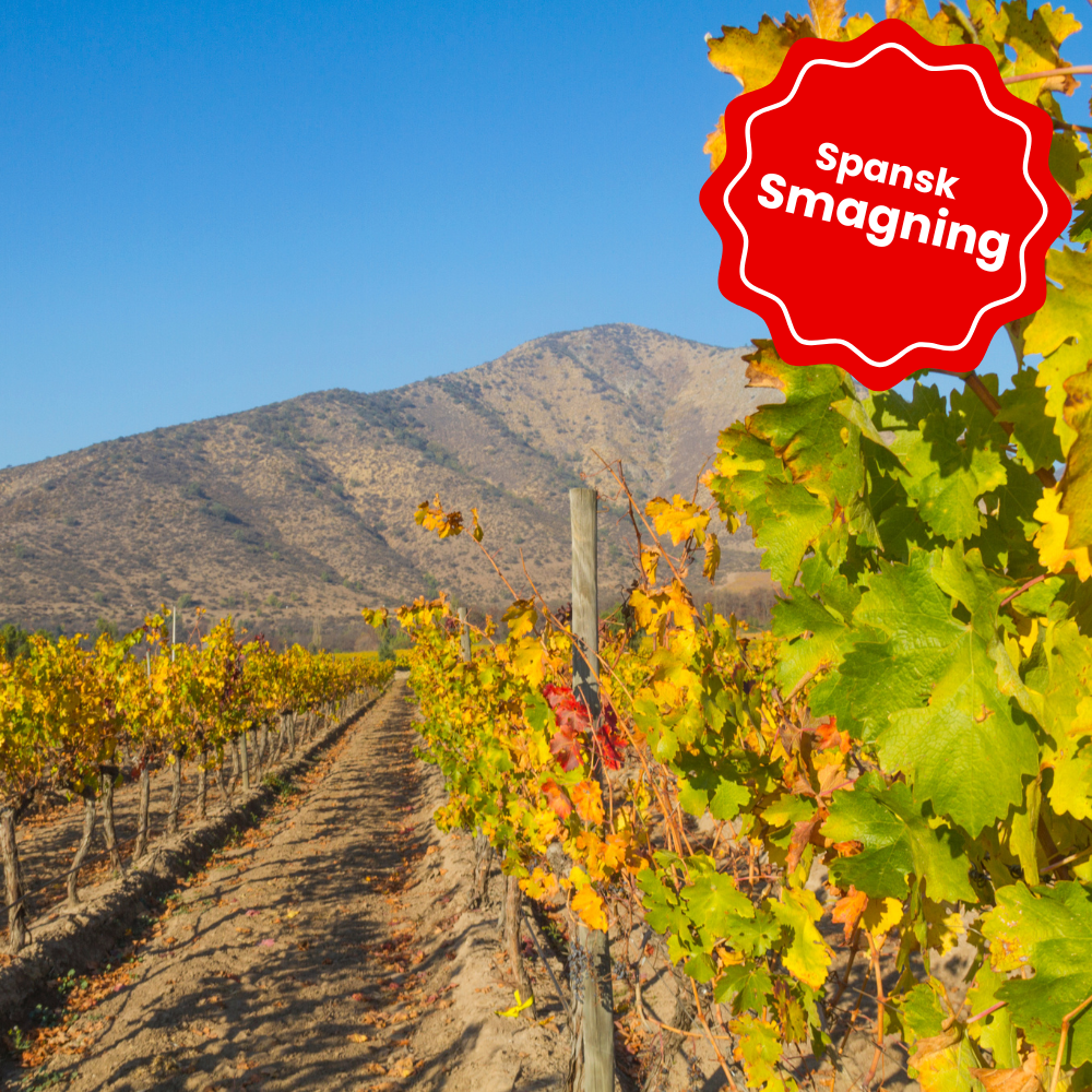 Torsdag d. 10. september kl. 18.30 - Spansk Vinsmagning